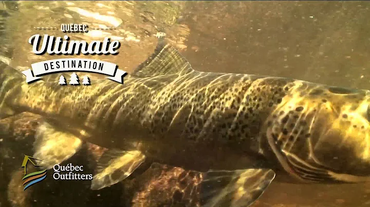 QUBEC OUTFITTERS THE ULTIMATE DESTINATION
