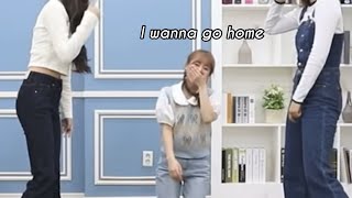 Cherry Bullet teasing Haeyoon in a nutshell