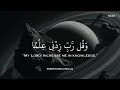 رح سمعك وقلبك بالقر وأستمع لتلاوة هادئه بصوت محمد هشام راحة نفسية  