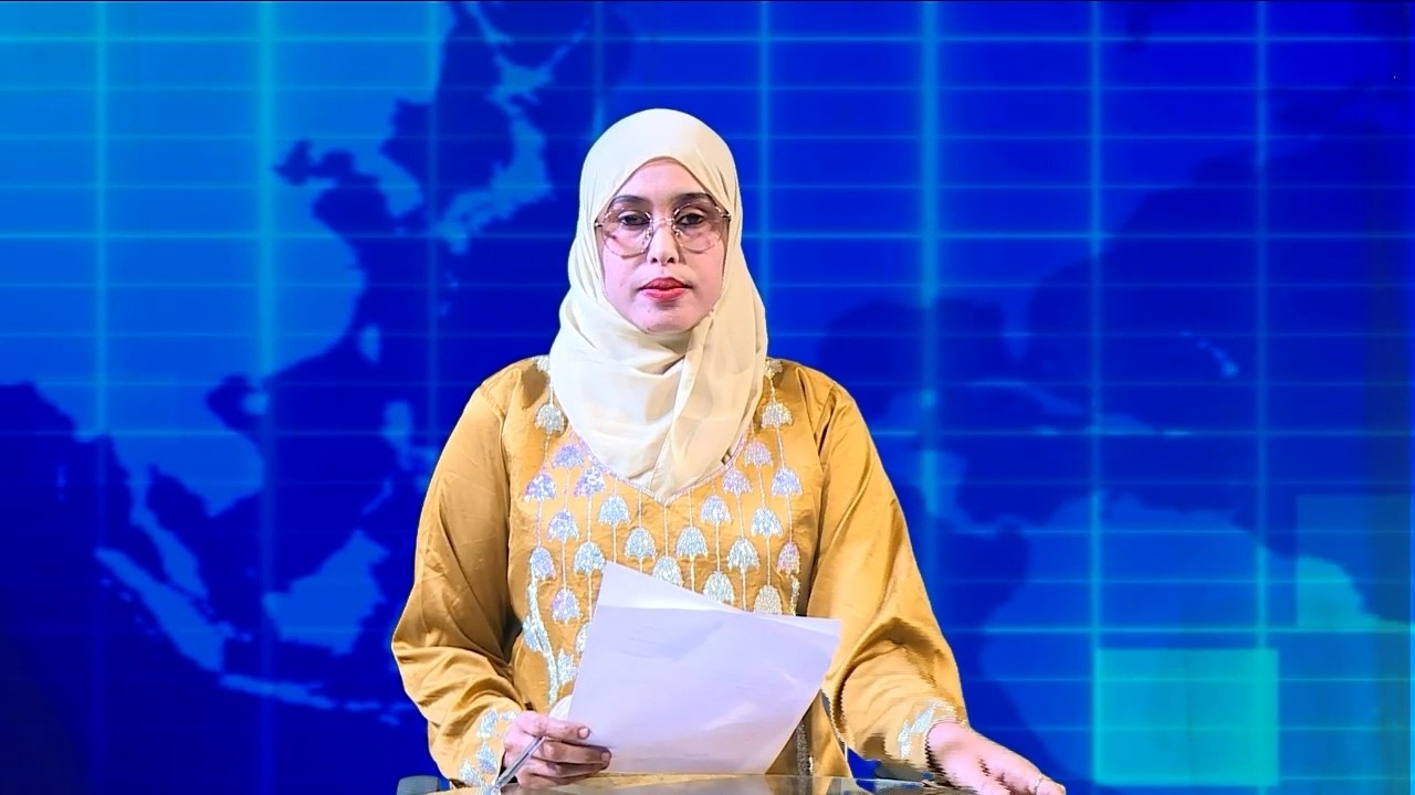 Warka Universal TV 11 02 2026