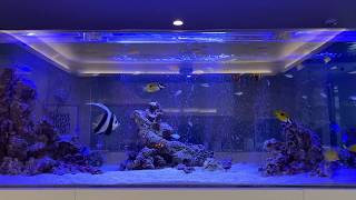 海水魚水槽W2200デザイン事務所