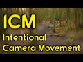 Intentional Camera Movement - ICM - Creating artistic photos