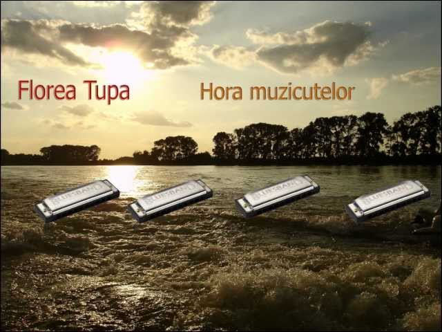 Hora muzicutelor - Florea Tupa class=