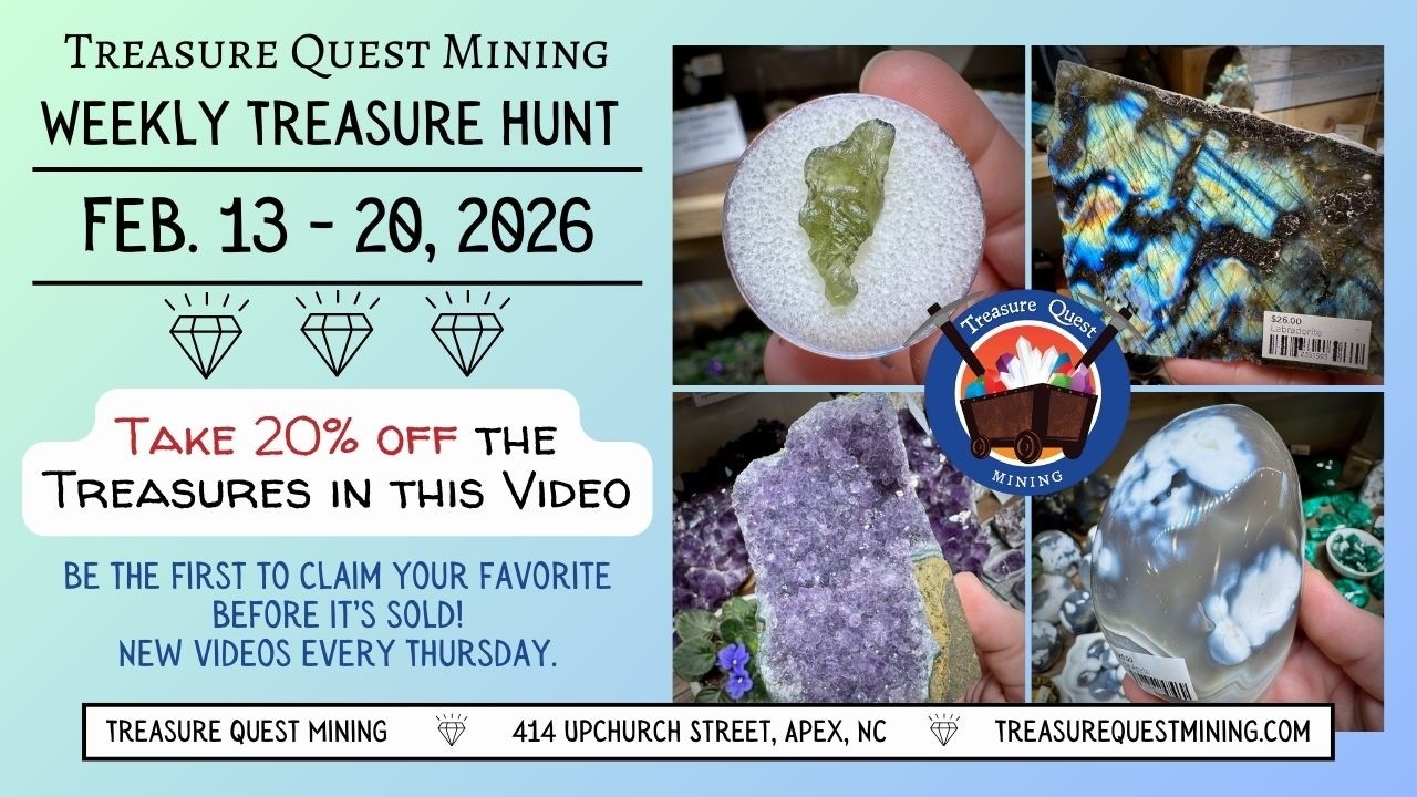 Weekly Treasure Hunt: February 13 - 20, 2026