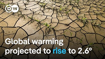 Report: More dangerously hot days in the cards by end of century | DW News