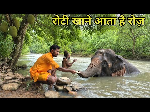 चित्रकूट के जंगल में मिला बाल संत सेवक जो संतों के साथ जानवर सेवा भी करता है