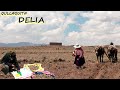 SEMBRAMOS LA PAPA CON LOS TOROS - QULLAQUITA DELIA