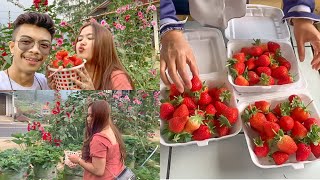 PANEN STRAWBERRY UKURAN XXL NYA INDONESIA🍓🍓