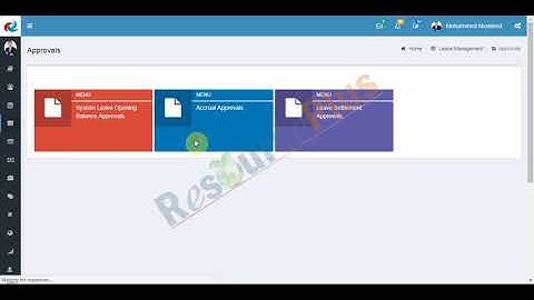 How to pass the adjustments or additional Annual Leave eligibility in ResourcePlus HRMS application?