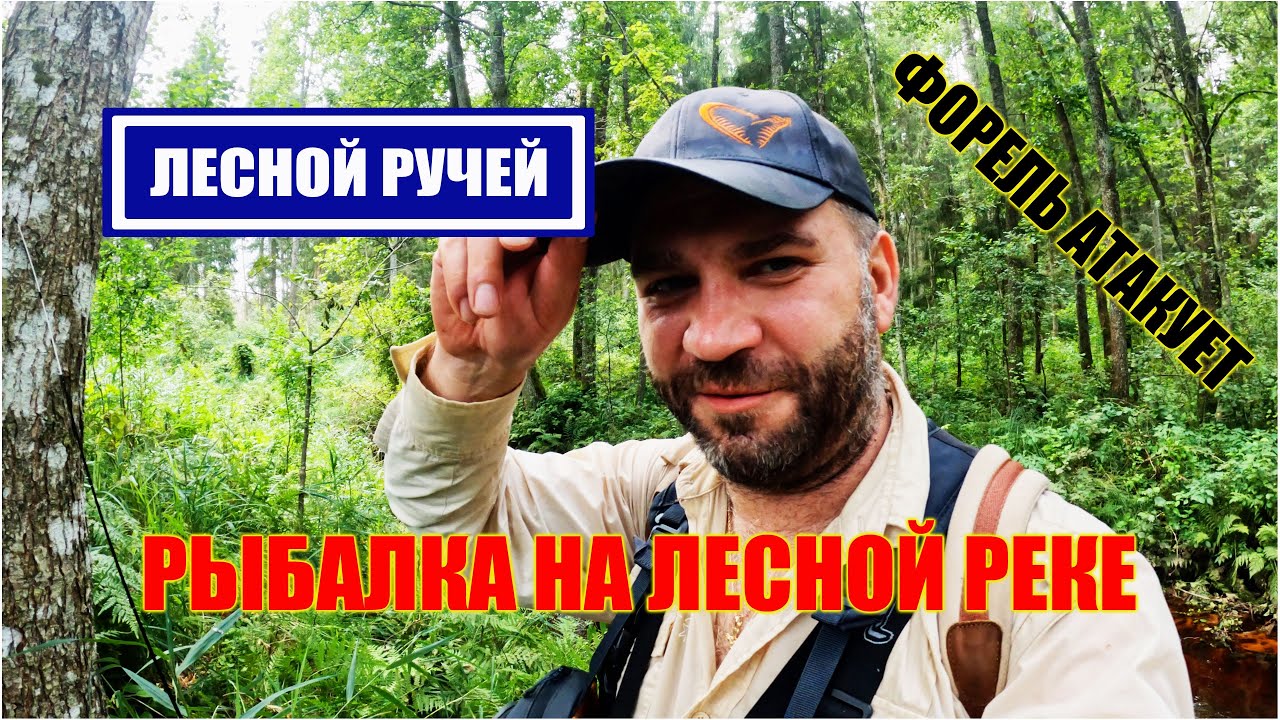 РЫБАЛКА НА МАЛЕНЬКОЙ ЛЕСНОЙ РЕЧКЕ ЛЕТОМ | УЧУСЬ ЛОВИТЬ ФОРЕЛЬ - YouTube