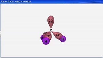 CBSE Class 11 Chemistry || Organic Chemistry Part-2 || By Shiksha House
