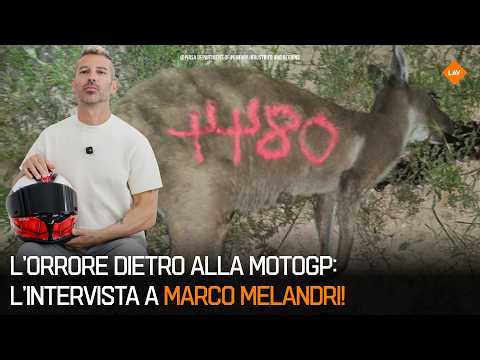 KANGAROO HUNTING AND MOTOGP | Interview with Marco Melandri