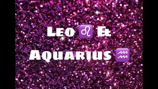 Famous Opposites Attract 🎭: Aquarius ♒️ & Leo ♌️-Who wears the mask? Net Worth