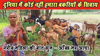 दुनिया में कोई नहीं है हमारा ,बकरियों के सिवाय।। Goat Farming By Poor Lady । Bagbahra Mahasamund