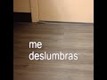 🐈