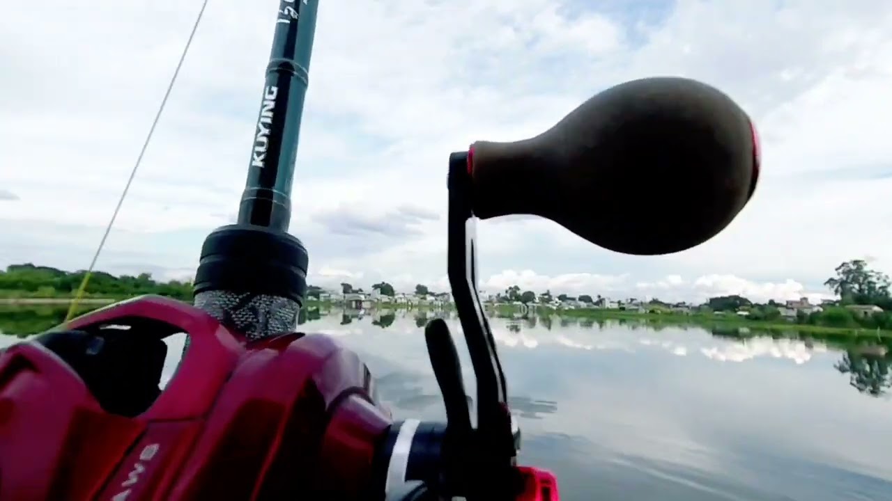 TOMAN fishing in MYANMAR MDY  EP(99)🐢sight casting