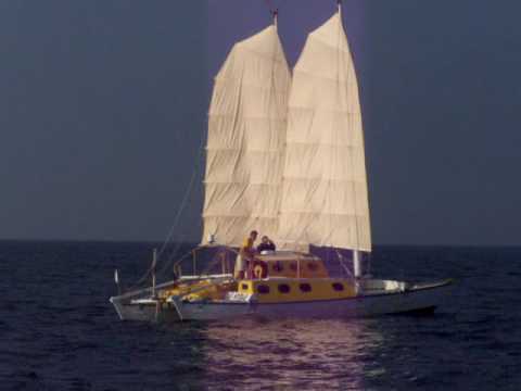 junk sail catamaran