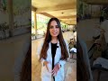 من قلب جامعة حلب ومن بين أعرق كلياتها تبرز كلية الطب البشري كمنارة للعلم والمعرفة جامعة حلب 