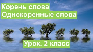 Урок. Корень слова. Однокоренные слова. Русский язык 2 класс. #учусьсам