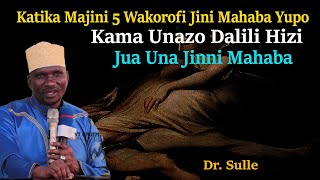 DR. SULLE |  MAJINI 5 WAKOROFI DUNIANI | JINI MAHABA YUMO | KAMA UNADALILI HIZI | JUA UNAJINI MAHABA