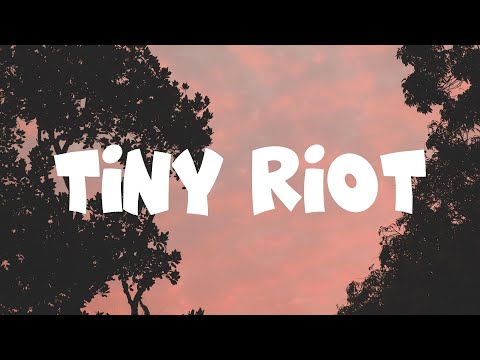 Sam Ryder - Tiny Riot (lyrics)