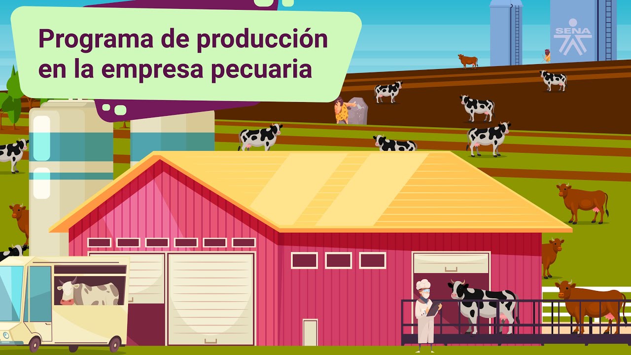 Programa de producción en la empresa pecuaria - YouTube