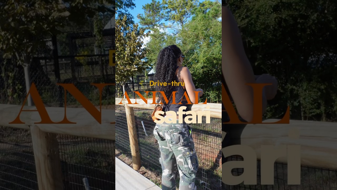 Took my bf here and had so much fun🤭 