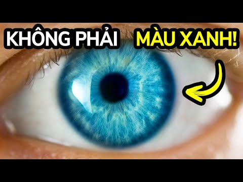 Đây Là Lý Do Tại Sao Mắt Xanh Chỉ Là Ảo Giác