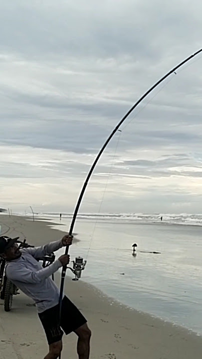 Scary...!! 😱😱The strength of the tornado twist surf rod was tested by Mama GT (Giant trvally) #fi...