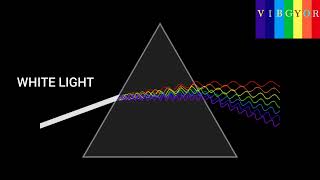 Newton's Prism Experiment | Splitting of white light in seven rainbow colours #prism