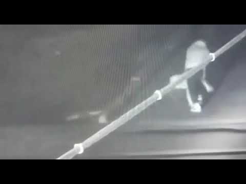 Драка мужчин попала на камеры видеонаблюдения в Атырау