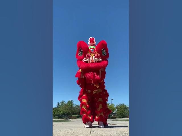 Lion Dancing (Siblings) #ad #shorts