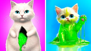 What Happened To This Cute Kitten *Crazy Cat Hacks And Gadgets For Pet Owners*
