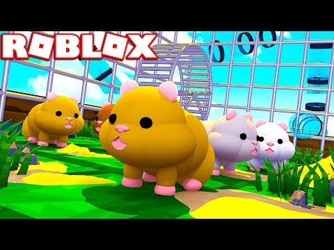 Roblox Hamster Simulator Become A Realistic Hamster Youtube - cutest game ever roblox hamster simulator wwonderwall gameplay