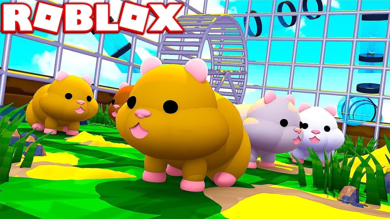 Roblox Hamster Simulator Become A Realistic Hamster Youtube - cutest game ever roblox hamster simulator wwonderwall gameplay