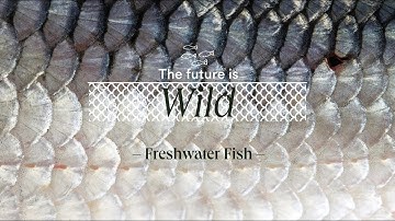 The Future Is Wild: Freshwater Fish