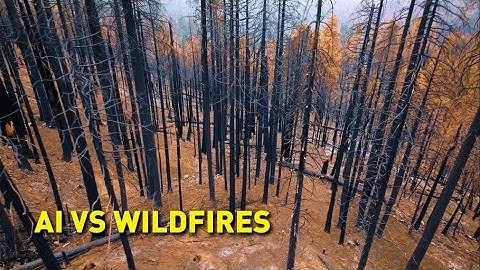 Can AI Stop Wildfires Before They Start? | Germany’s New Fire Detection Tech