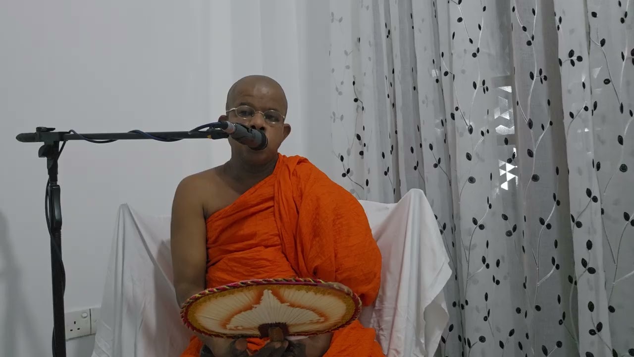 හැන්ද සහා දිව අතර වෙනස