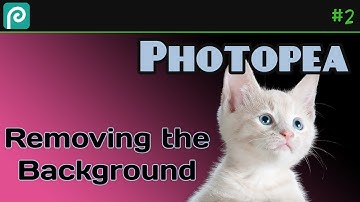 Removing the Background from an Image with Photopea
