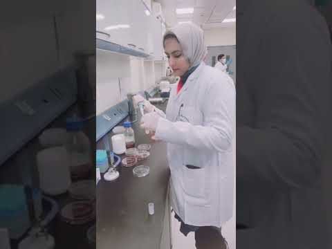 علم الغذاء والتغذية من أهم العلوم Kenzysala التغذية الصحية جودة الغذاء جامعة زويل Zewail City