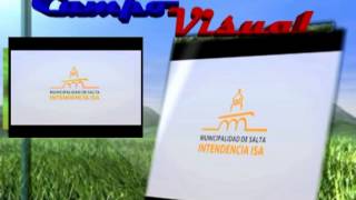 CAMPO VISUAL 26-11--2013