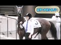 牡馬しかいないのにおてぃんが暴れだすエターナルシルバー