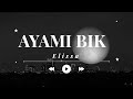 Elissa Ayami Bik Afro House Remix 2026 VIBRØ