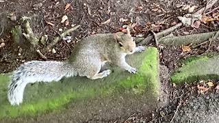 Saltwell Park. Gateshead. Tyne And Wear. 3 September 2023