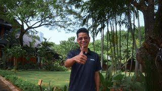 Amplify Graduate Internship Programme: Mangrove planting