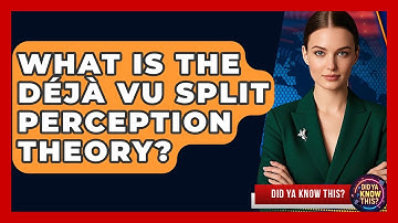 What Is The Déjà Vu Split Perception Theory? - Did Ya Know This