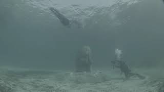 jason decaires taylor submerges six monumental 'masks' to form cannes underwater museum