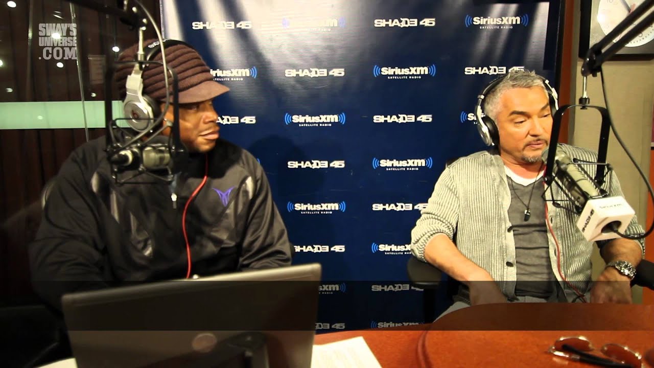 Cesar Millan Speaks on What To Do When Your Dog is Too Excited & Humps Too Much | Sway's Universe