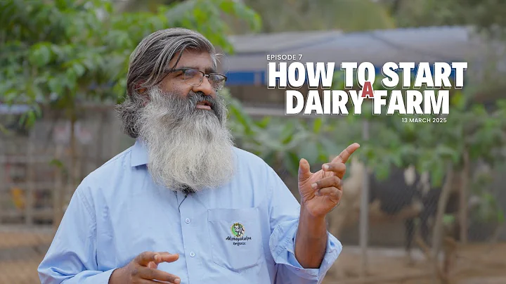 The ultimate guide to becoming a dairy farmer
