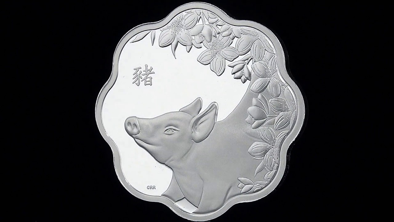 Lunar new, Year of the pig, Vancouver canucks